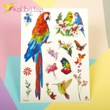 Детские, временные татуировки - попугаи - Kalibri
