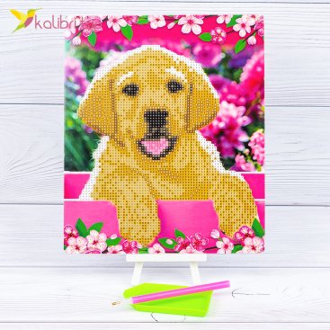 Алмазная мозаика Лабрадор 21*25 см - Купить