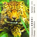 Малюнки за номерами Гепард 30*40 см.
