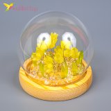 Ночник сделай сам Цветы в шаре жёлтые USB, 10 см оптом фото 02 Ночник сделай сам Цветы в шаре жёлтые USB, 10 см оптом фото 02