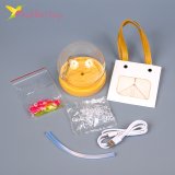Ночник сделай сам Цветы в шаре розовый USB, 10 см оптом фото 03 Ночник сделай сам Цветы в шаре розовый USB, 10 см оптом фото 03