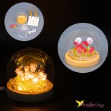 Ночник сделай сам Цветы в шаре розовый USB, 10 см оптом фото 01 Ночник сделай сам Цветы в шаре розовый USB, 10 см оптом фото 01