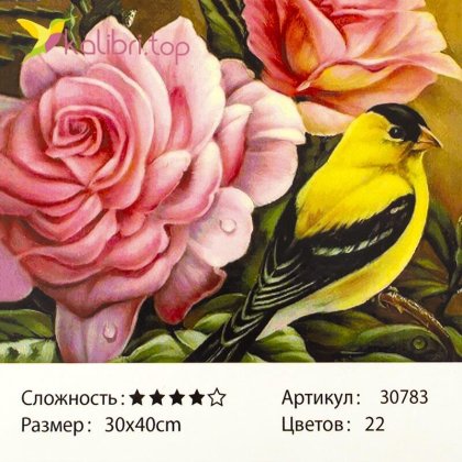 Рисования по номерам Роза 30*40 см - Купить