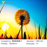 Алмазная мозаика Одуванчик 30*40 см оптом фото 01 Алмазная мозаика Одуванчик 30*40 см оптом фото 01